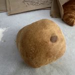 Ingertos